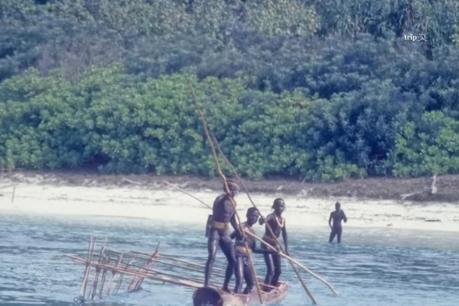 đảo Sentinel -Tripa