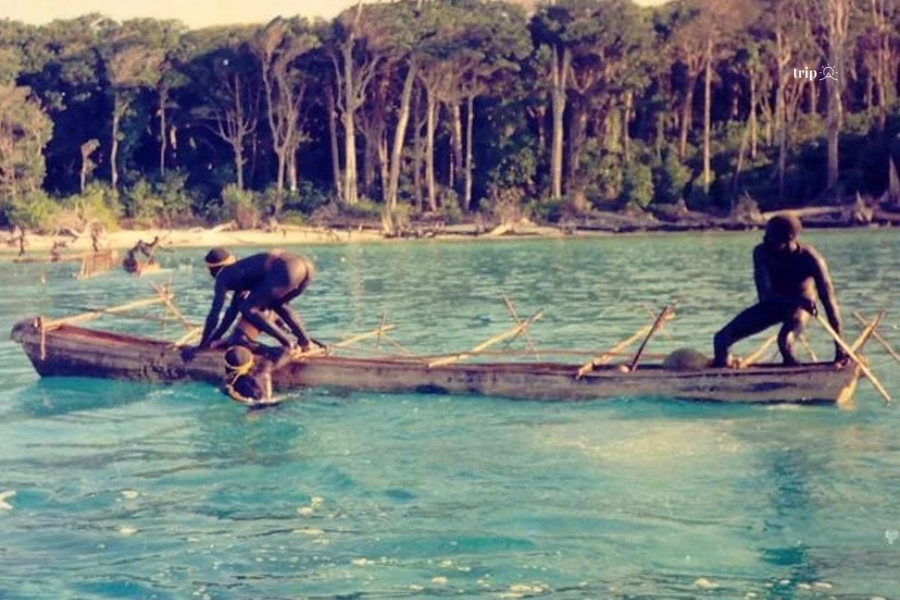 đảo Sentinel -Tripa