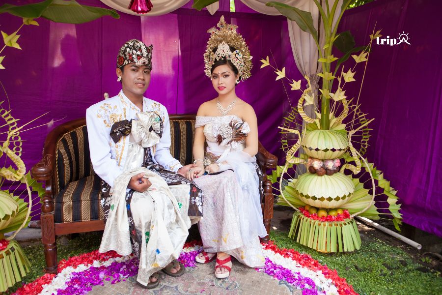 Đám cưới người Bali - tripa