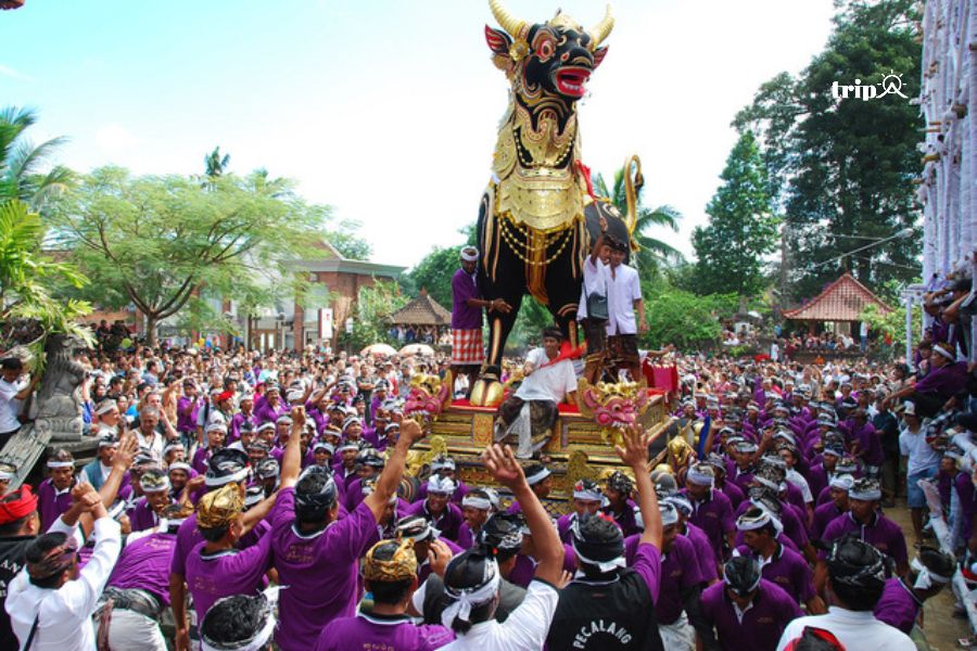Đám tang người Bali_tripa