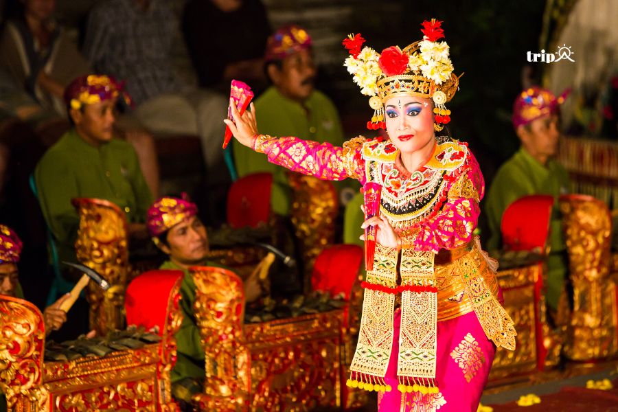 Điệu múa legong - Tripa