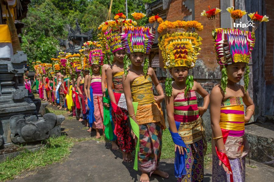 Điệu múa rejang - Tripa