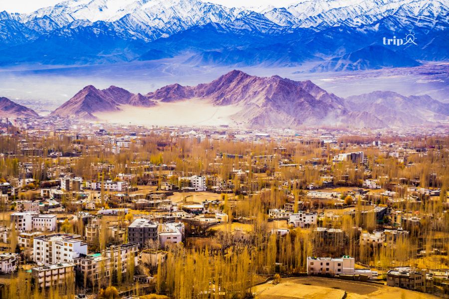 Ladakh-tripa