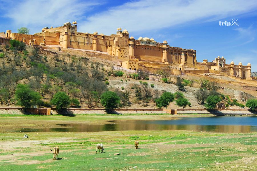 Amber Fort- tripa