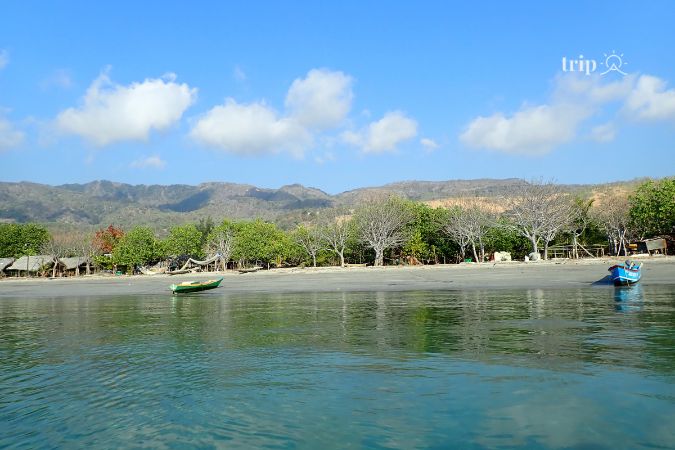 Đảo Atauro, Đông Timor- Tripa