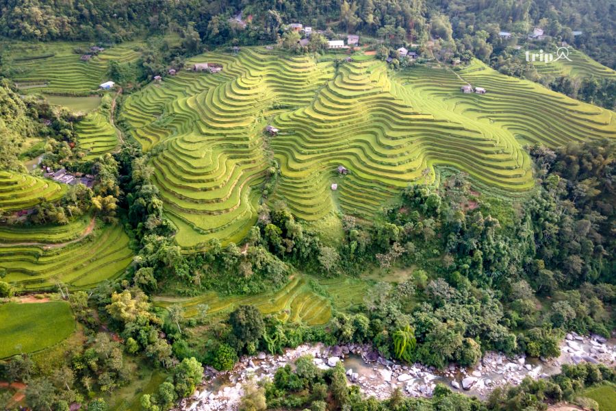 Banaue-tripavn