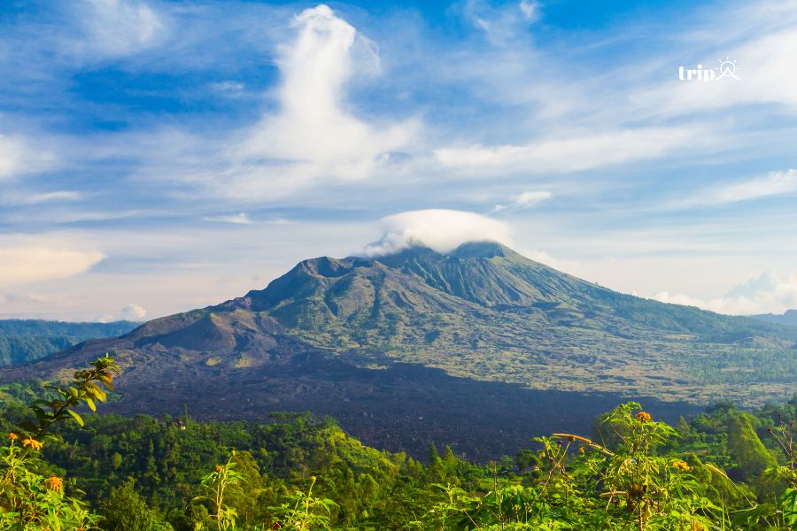 Batur Bali - Tripa