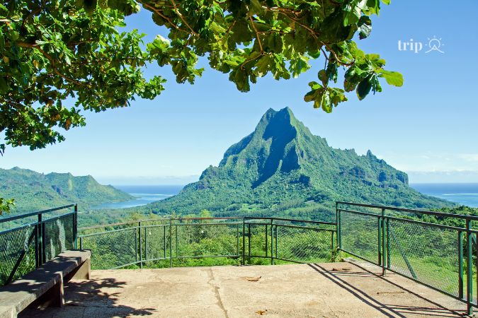 Belvedere outlook- Điểm ngắm cảnh đẹp nhất  Moorea