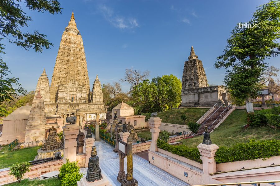Bodh gaya -tripa