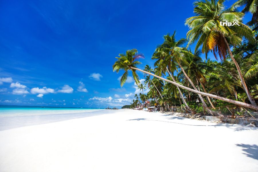 Boracay - Tripa