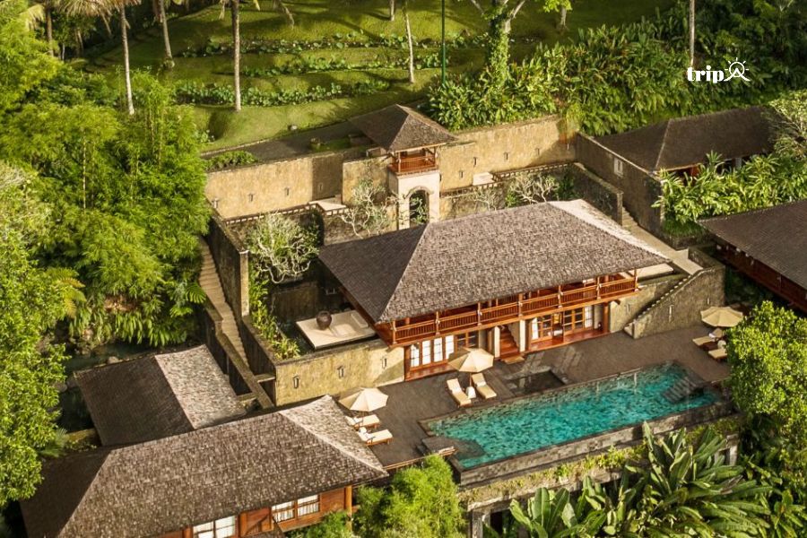 COMO Shambhala Estate-tripavn