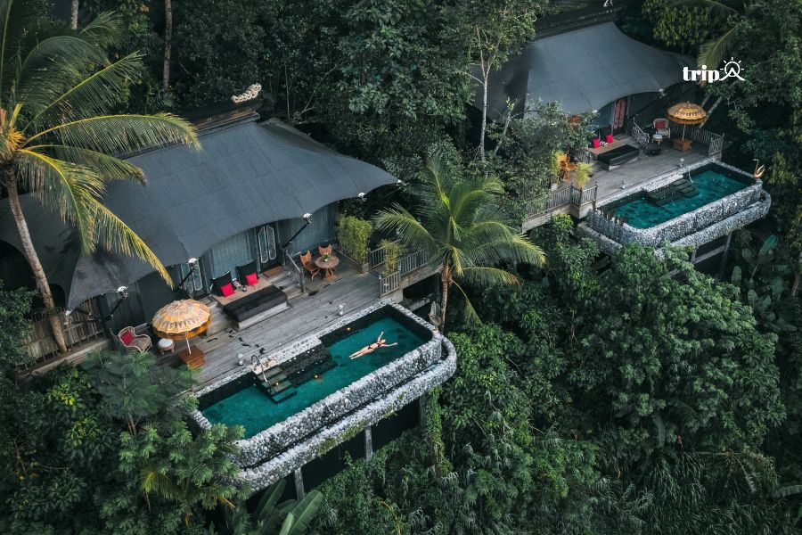 Capella Ubud Resort tripa