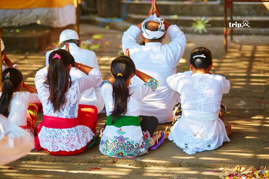 Chế độ phụ hệ Bali -tripa