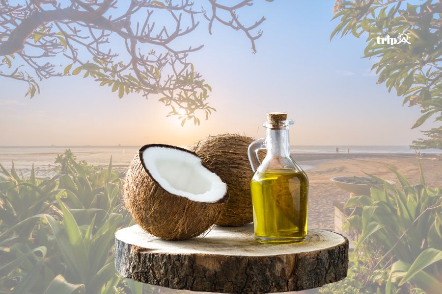 Dầu Dừa Bali -tripa