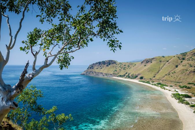 Một góc Đông Timor - Tripa