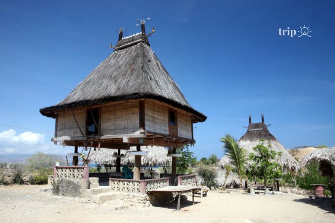 Nhà truyền thống của Đông Timor