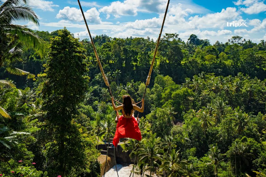 Du lịch bali tự túc - tripa