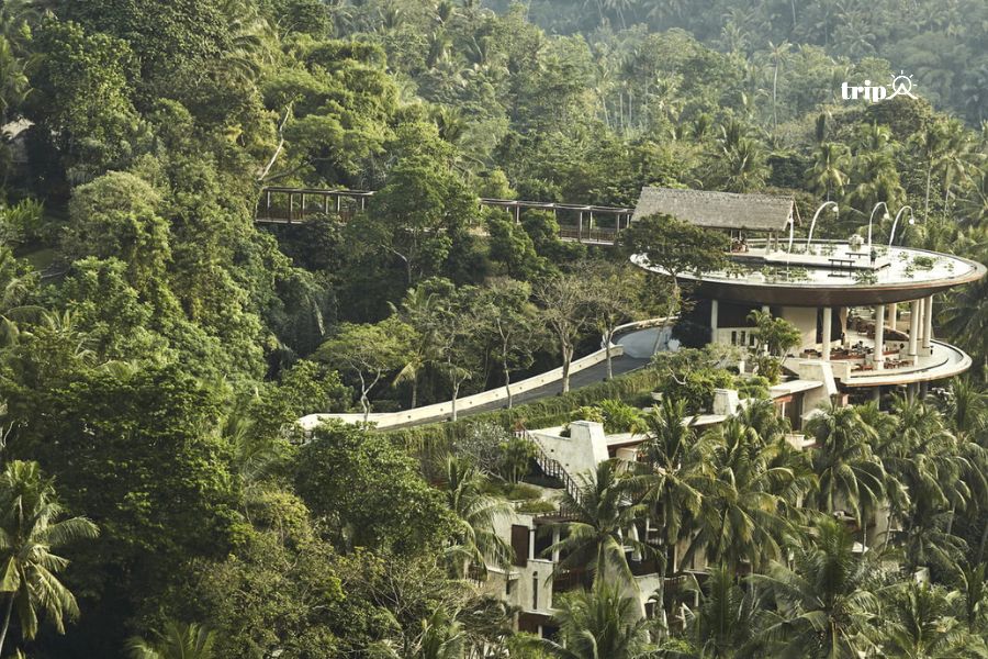 Four Seasons Resort Bali at Sayan tripa