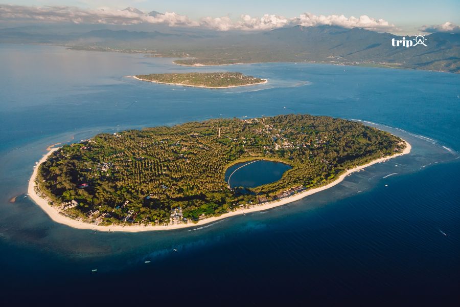 Gili Memo -tripa