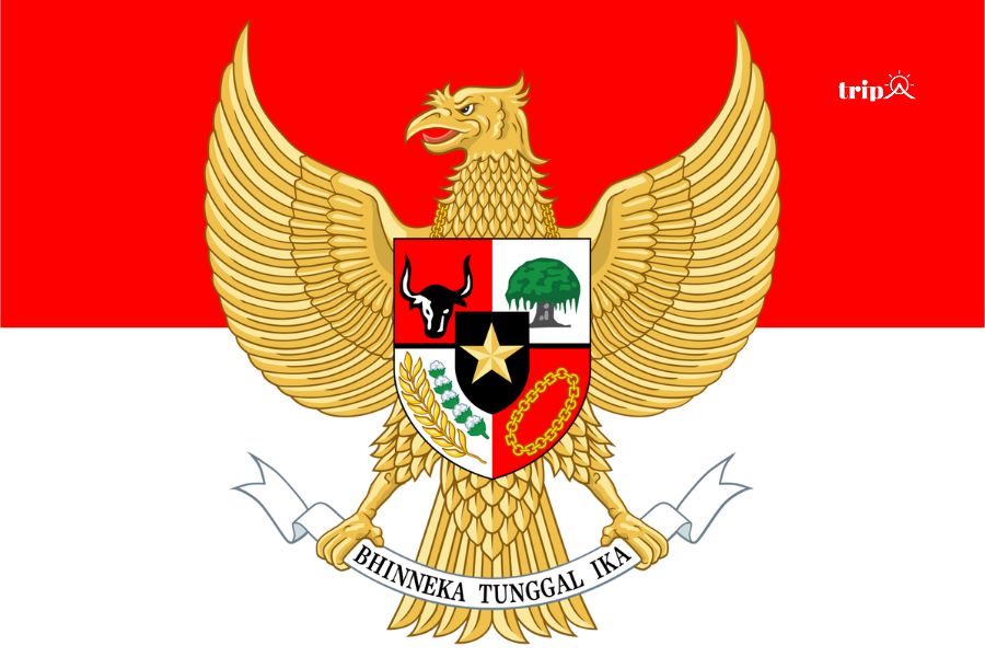 Gadura Indonesia -tripa