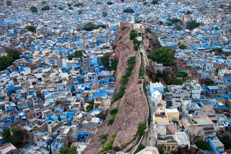 Jodhpur-tripa