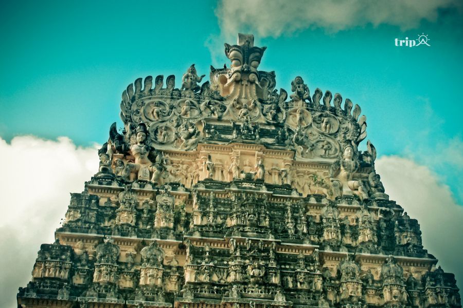 Kerala-tripa
