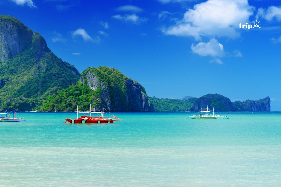 Elnido-tripa