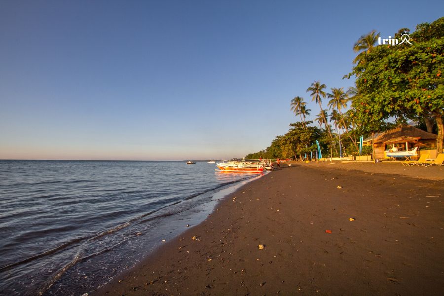Lovina beach- Tripa