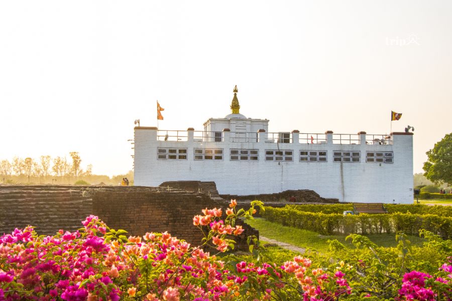 Lumbini-tripa