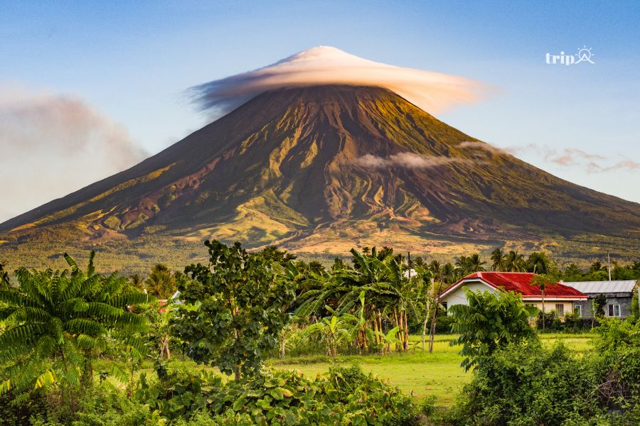 Nui lua Mayon-tripavn