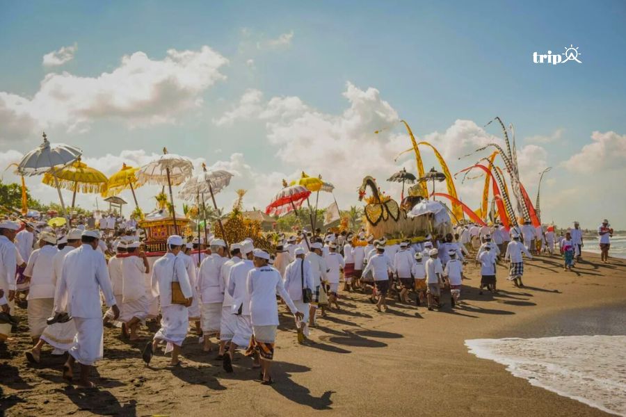 Melasti festival bali-tripa