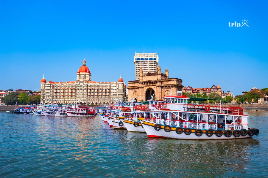 Mumbai-tripa