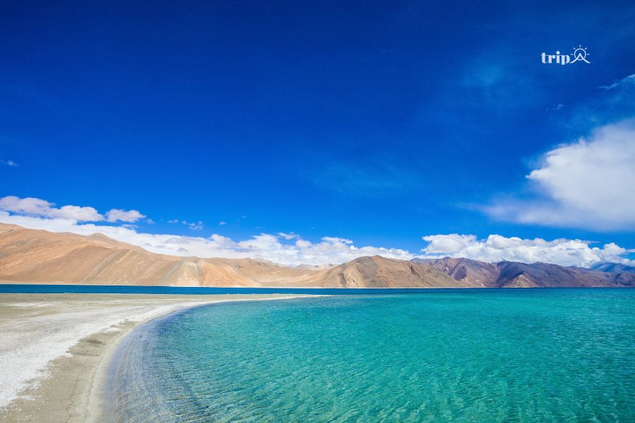 PANGONG-tripavn