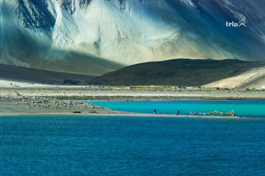 PANGONG-tripavn