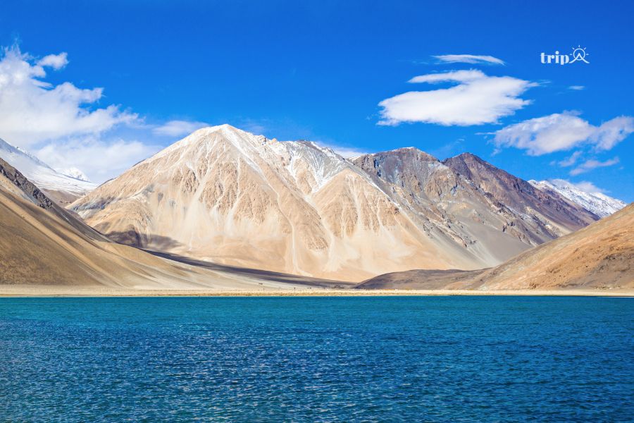 PANGONG-tripavn