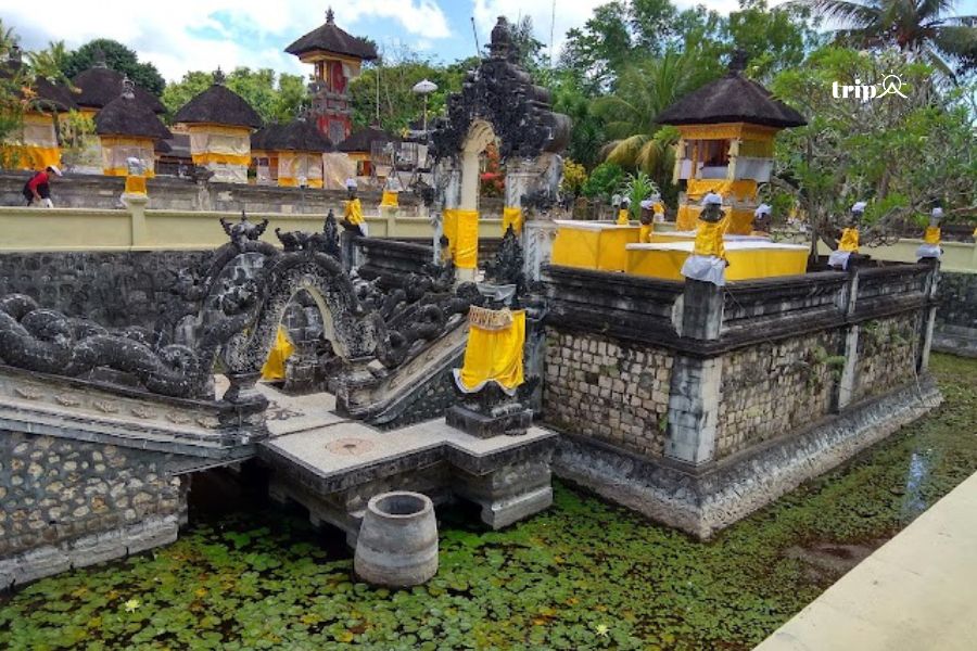 PURA DALEM PENETARAN PED - TRIPA