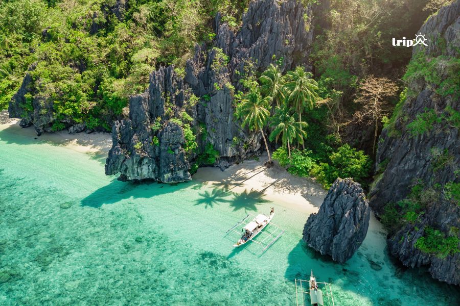 Palawan-Tripa