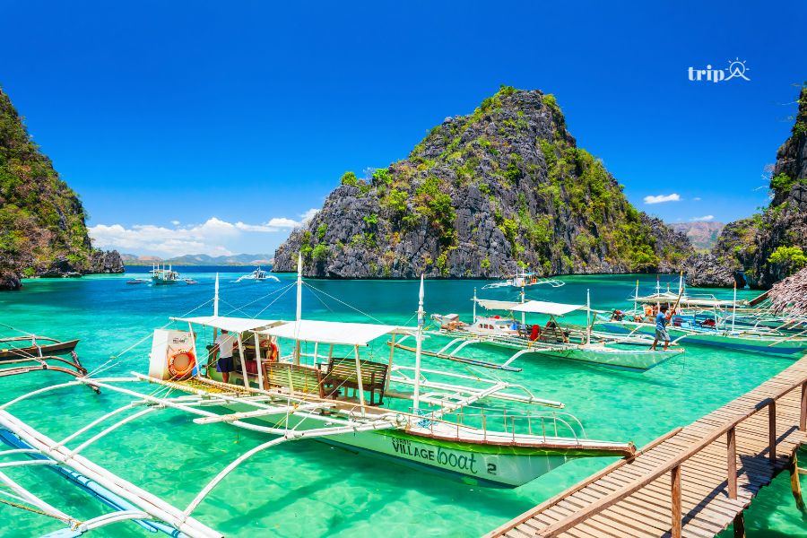 Palawan-tripavn