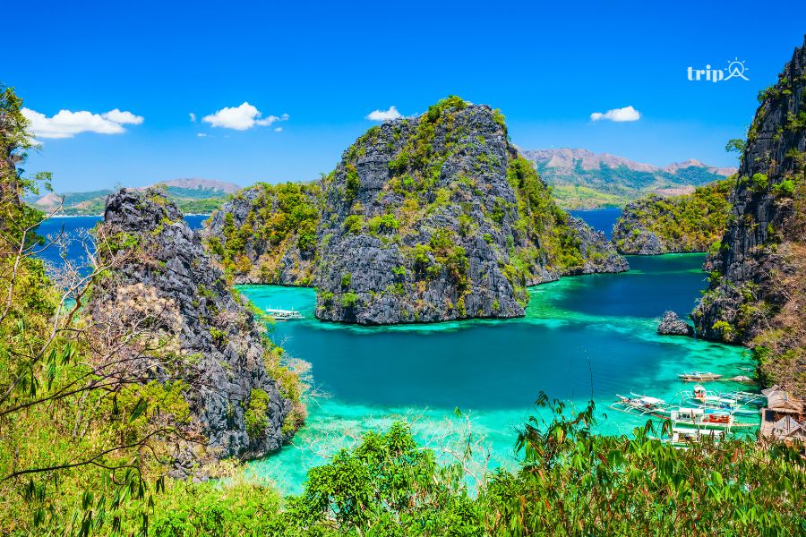 Palawan-tripavn