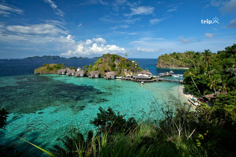 Papua-tripavn