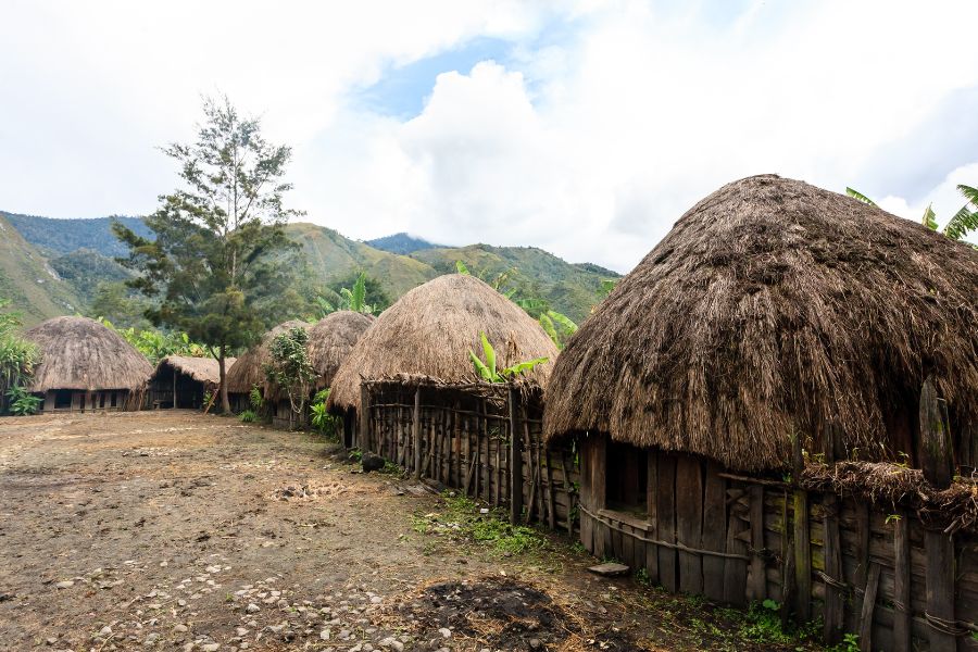 Papua-tripavn