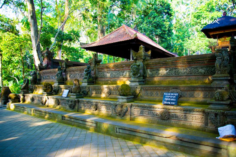 Rừng khỉ Ubud- Tripa