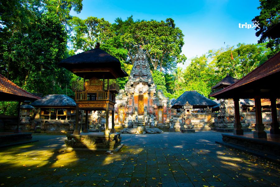 Rừng khỉ Ubud- Tripa