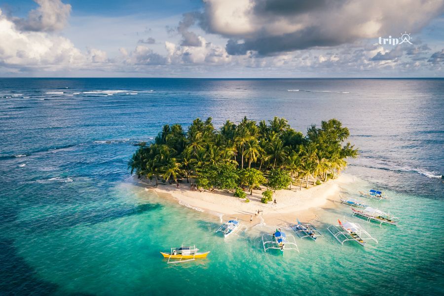 Siargao-tripa