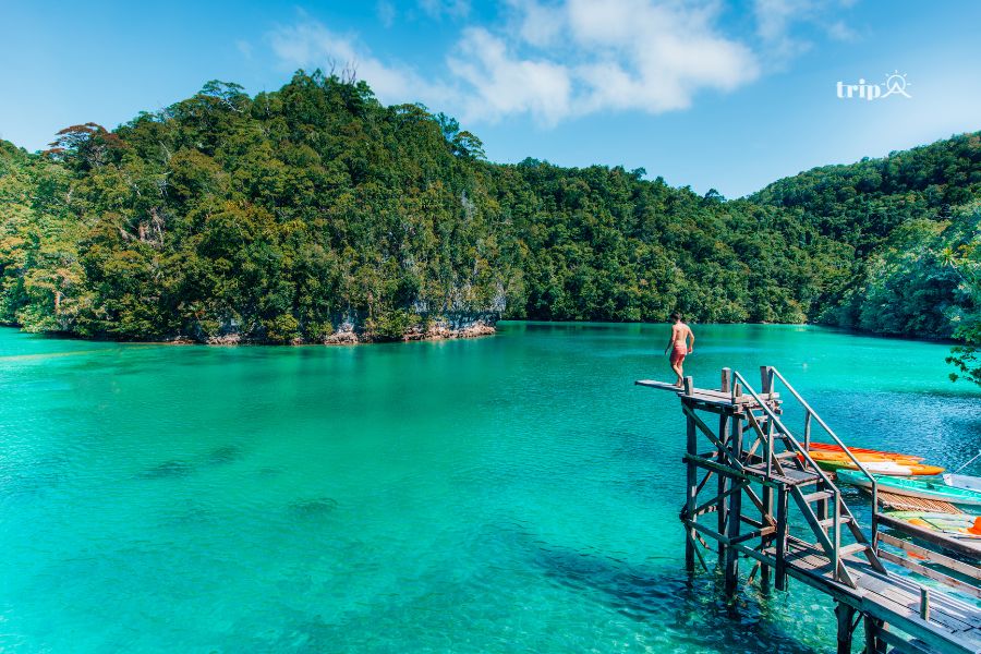 Siargao-tripa
