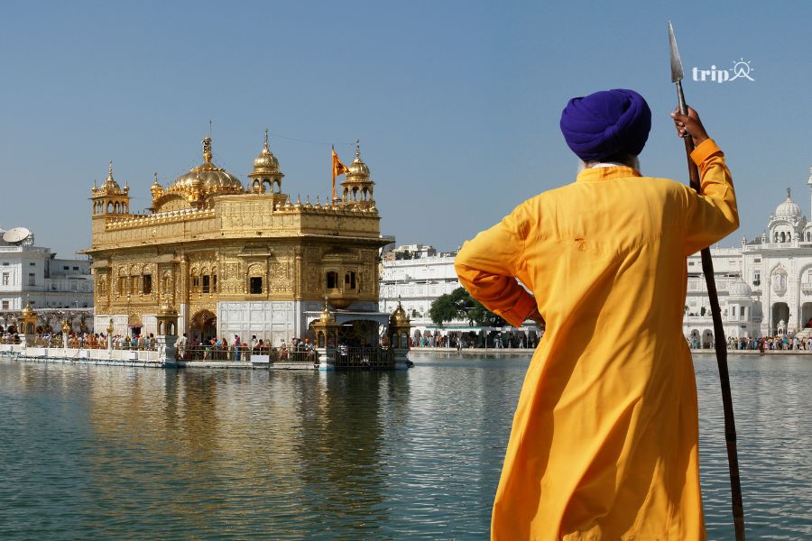 Sikh-tripa