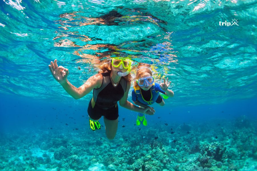 Snorkling Lovina- bali