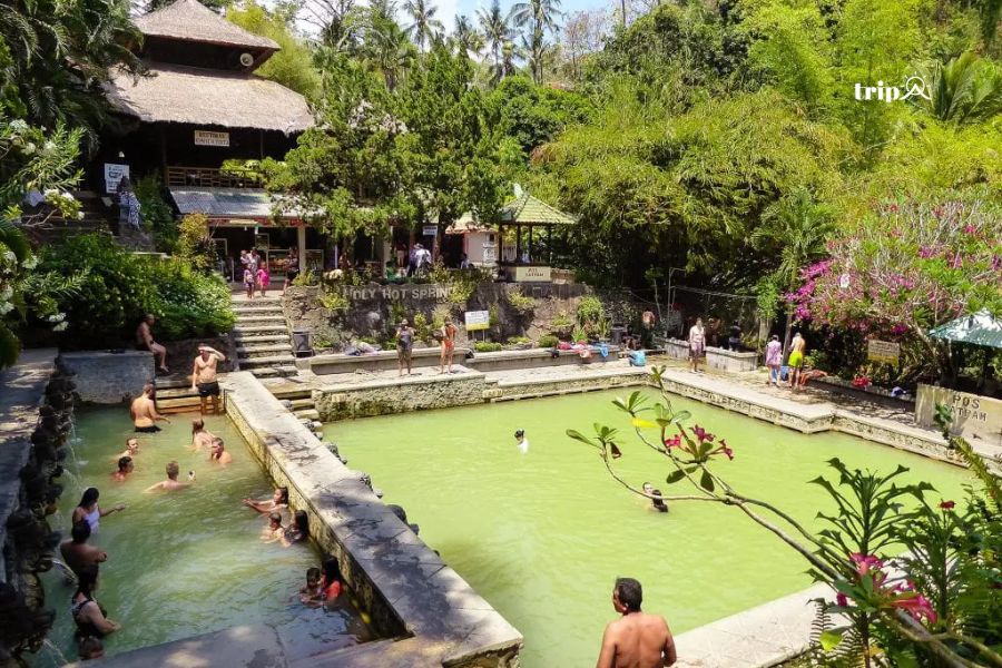 Suối nước nóng Banjar Lovina -tripa