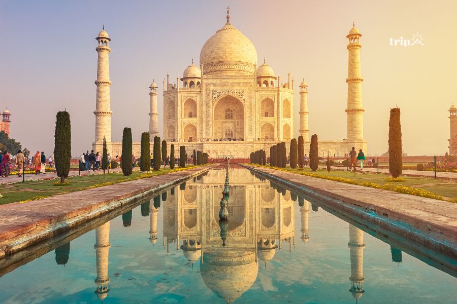 taj mahal- tripa