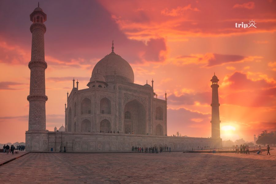 Taj mahal-tripa